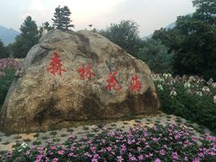 -广州市流溪河国家森林公园