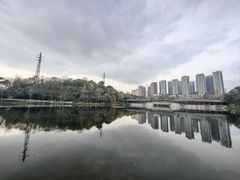 -重庆彩云湖湿地公园