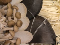 -蝎王府羊蝎子(虎坊桥总店)