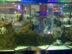 iphone_upload_pic-飞扬影城(正佳IMAX店)