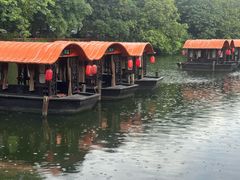 -侨美·唐荔园·40年地道粤菜