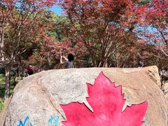 -广州市帽峰山景区