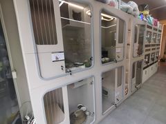 -唐小姐の私宠·宠物洗护美容·撸猫馆·购宠(周浦万达旗舰店)