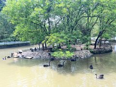 -黔灵山公园