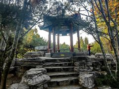 -丰台花园