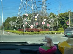 -高东镇樱花园