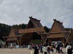 -哈尔滨北方森林动物园