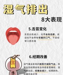 -Fundi张玉珊修身堂·indiba·BTL科技瘦身