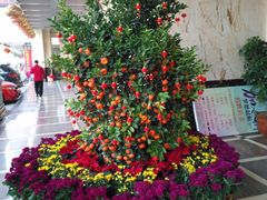 -喜临门酒家(城东店)