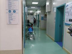 -北京观赏动物医院·24小时大型综合·猫专科·异宠专科