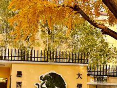-三里屯东五街银杏大道