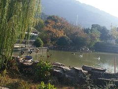 -无锡动物园·太湖欢乐园
