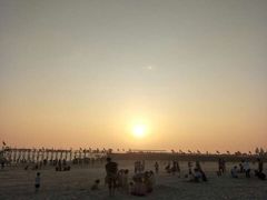 -北海金海湾红树林生态旅游区