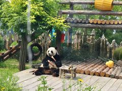 -大连森林动物园