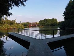 -尚贤河湿地