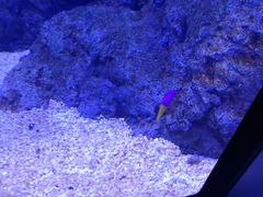 -福州罗源湾海洋世界旅游区