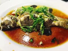 清蒸石斑鱼-好彩海鲜酒家(帝国中心店)