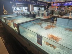 -尚海豆捞(乐虹坊店)