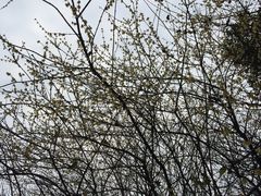 -华东理工大学·停车场