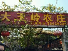 -大王岭农庄