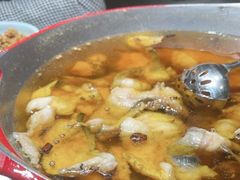 -雲蜀龙阁·金牌水煮鱼(方庄店)