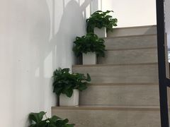-风格style 专业烫染