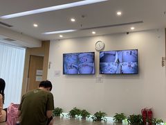 -中央芭蕾舞团·中芭艺蕾(酒仙桥明星校区)