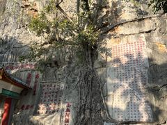 -星湖旅游景区七星岩