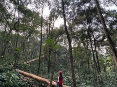 -广州市帽峰山景区