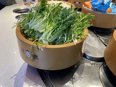 -龍歌自助小火锅(市北台东利群店)