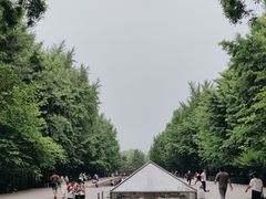 -玲珑塔公园