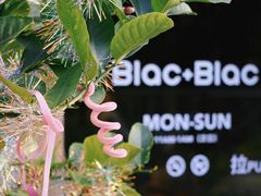 -Blac+Blac(中海环宇荟店)