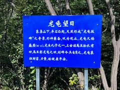 -濂泉响谷