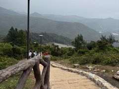 -大姆山草场