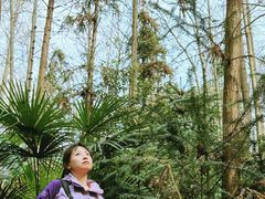 -青龙山国家森林公园