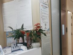 -合肥美奥口腔·种植矫正中心(政务院)
