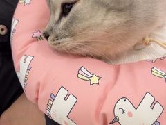 -德元·美联众合24小时动物医院(总院)