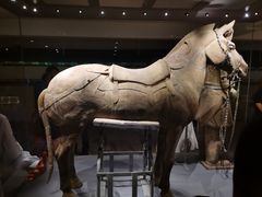-秦始皇帝陵博物院(兵马俑)