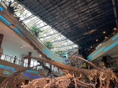 -安徽省地质博物馆