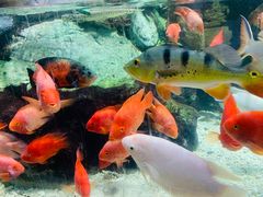 -太平洋海底世界