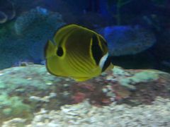 -沈阳海洋探索中心