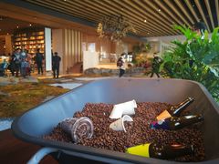-Seesaw Coffee(朝阳大悦城店)