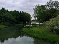 -长广溪湿地公园