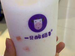 -一只酸奶牛(时代天街A馆店)