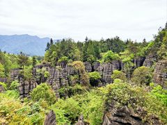 -梭布垭石林景区