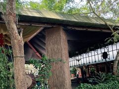 -西双版纳基诺山寨