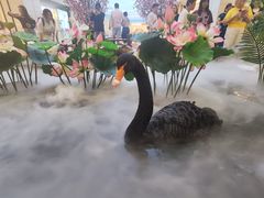 -赛格国际购物中心(小寨店)