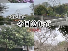 -晓港公园