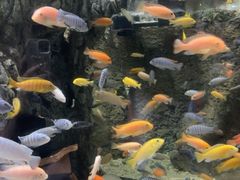 -太平洋海底世界