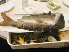 -胖师鱼馆非遗砂锅雅鱼(大北街店)